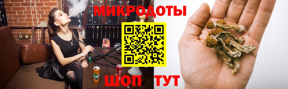 Урус-Мартан  Псилоцибиновые грибы Magic Shrooms  Вход с VPN 